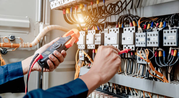 Best Electric Panel Repair  in South Holland, IL